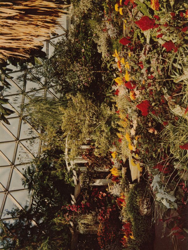 Blue Feather with Skittles