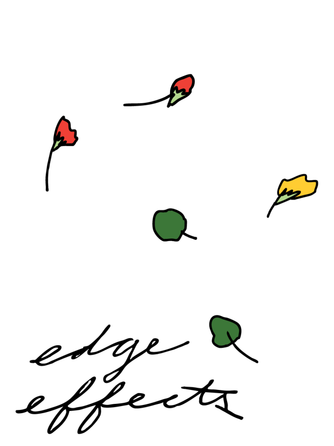 Edge Effects at the Gibson